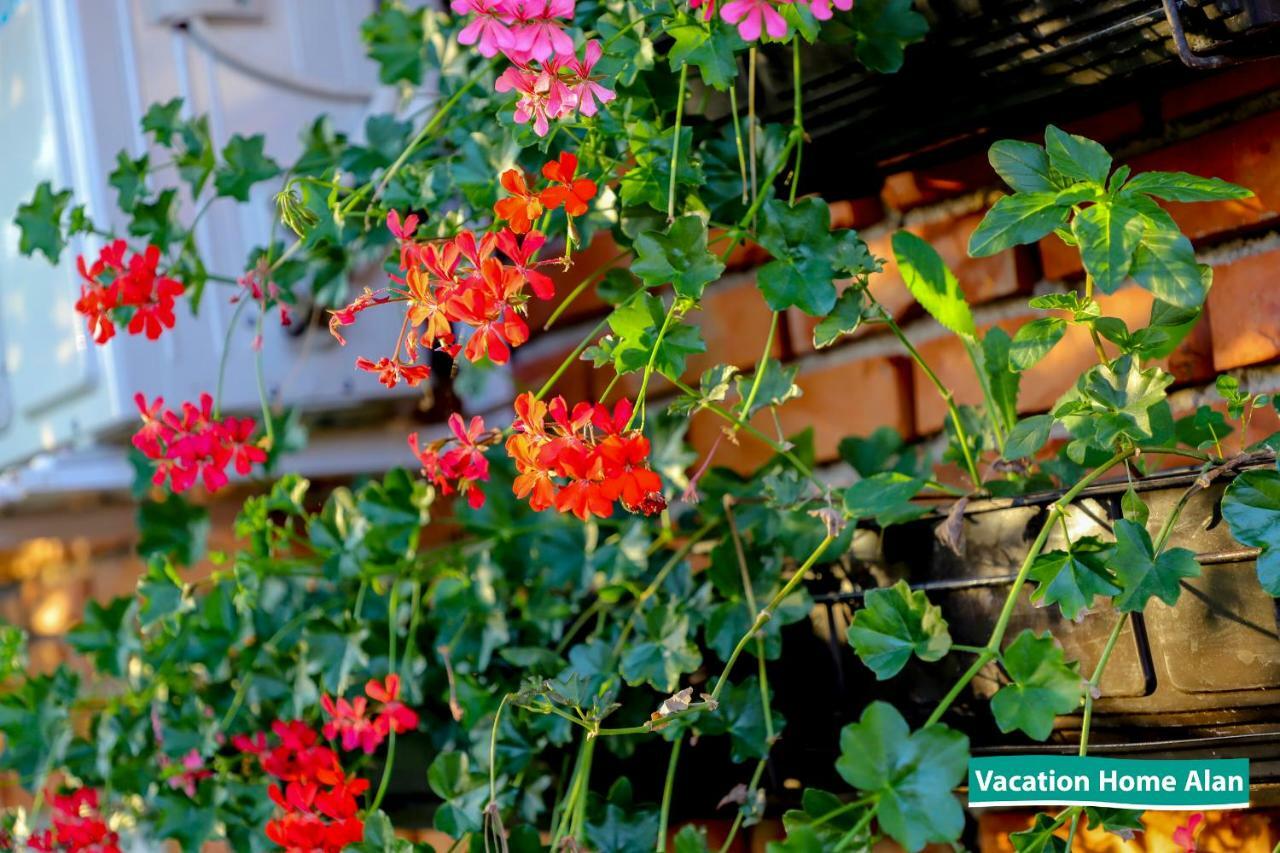 Vacation Home Alan 2 Kulen Vakuf Exterior photo